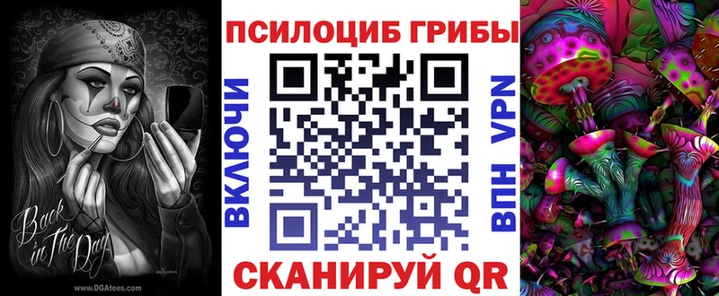 Купить где  Краснообск  Псилоцибиновые грибы Psilocybe 