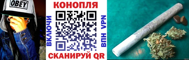 Конопля сатива  Купить  Краснообск 